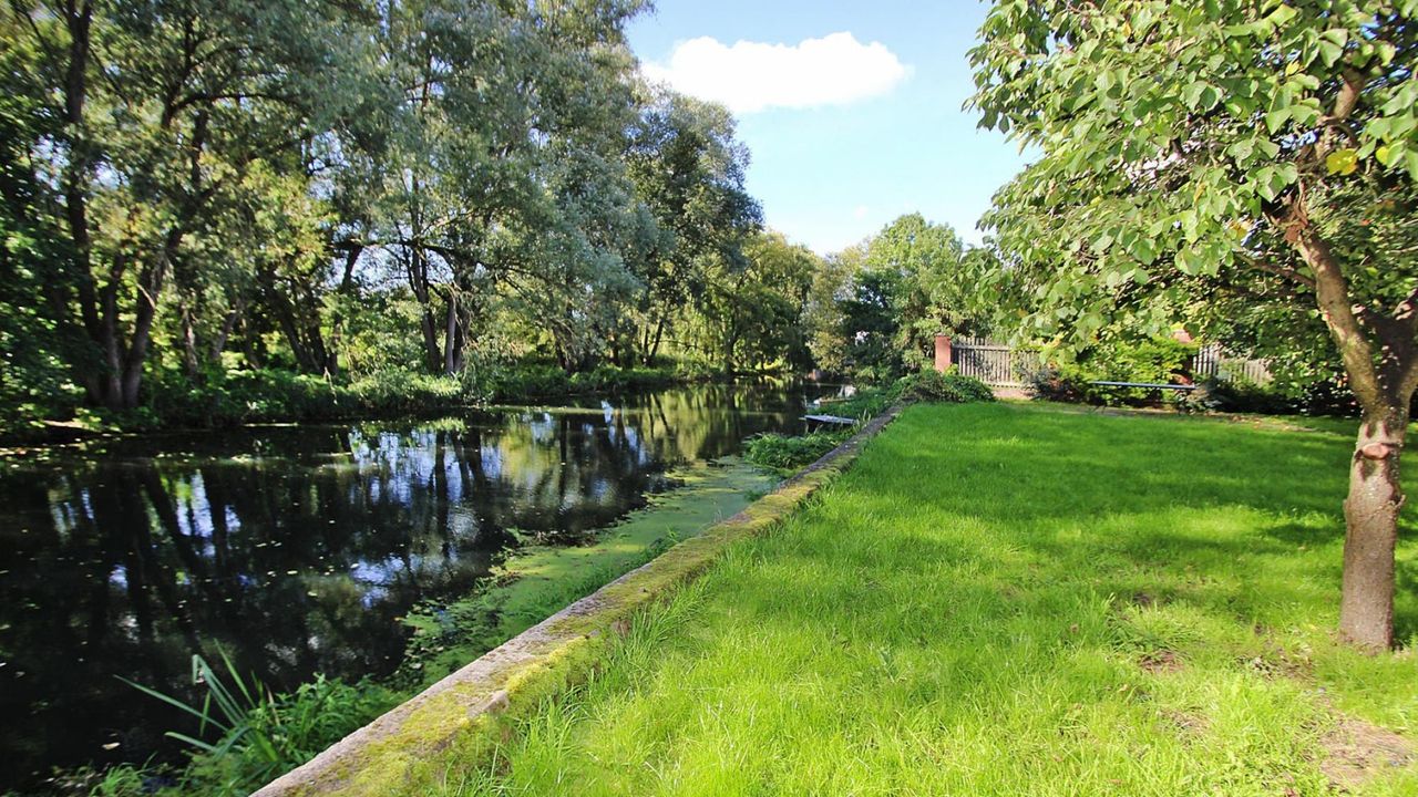 GardenSummer GardenSummer